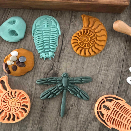 Pack Eco-moldes ¨Fósiles¨