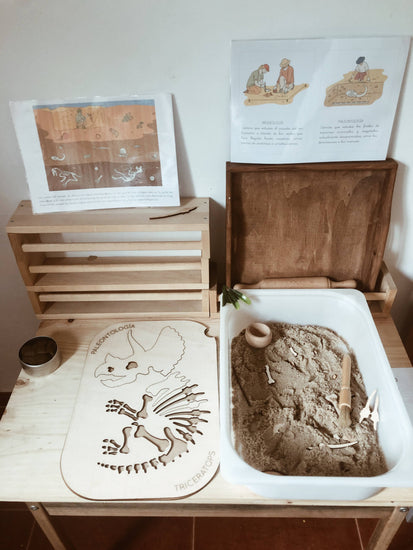 Inserto mesa flisat Paleontología